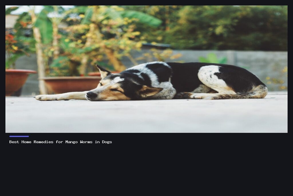 Best Home Remedies for Mango Worms in Dogs