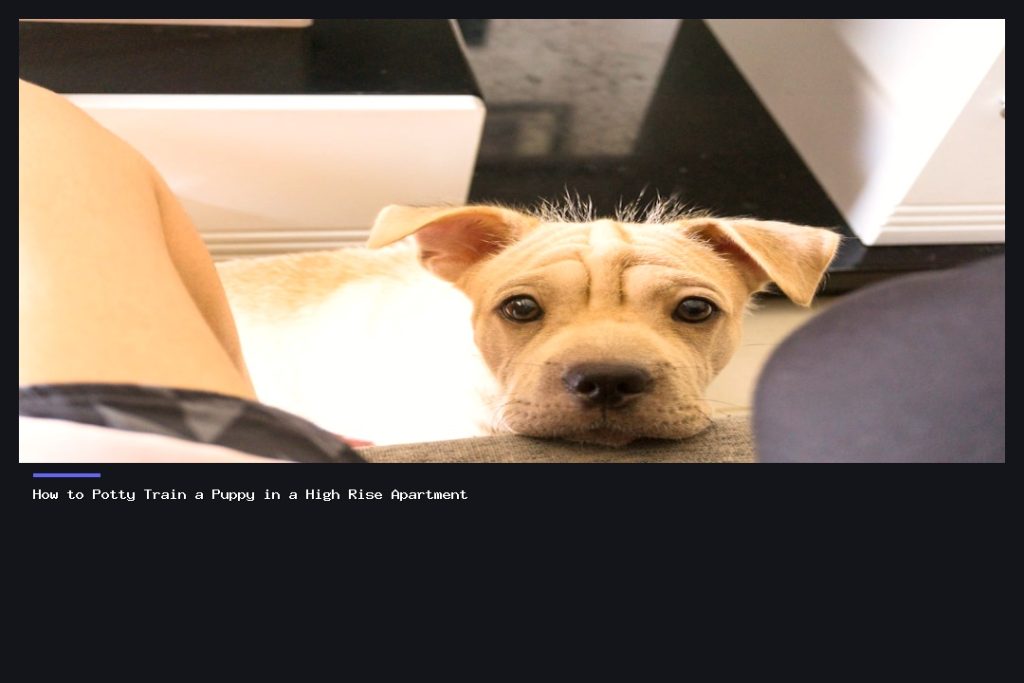 How to Potty Train a Puppy in a High Rise Apartment
