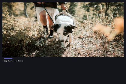 Dog Halts on Walks