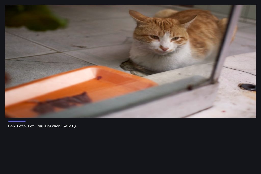 Can Cats Eat Raw Chicken Safely