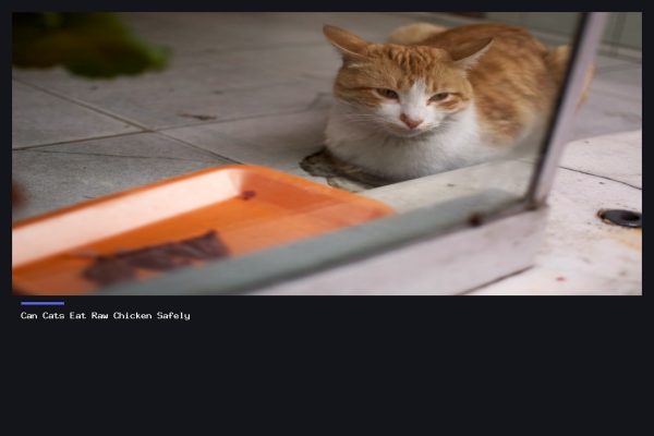 Can Cats Eat Raw Chicken Safely