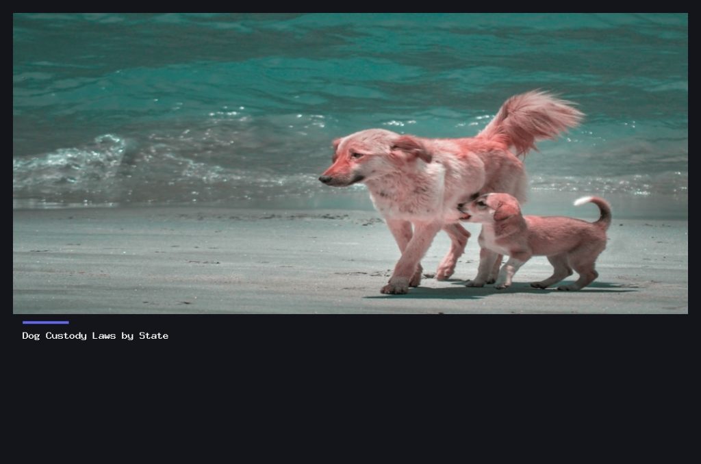 Dog Custody Laws by State