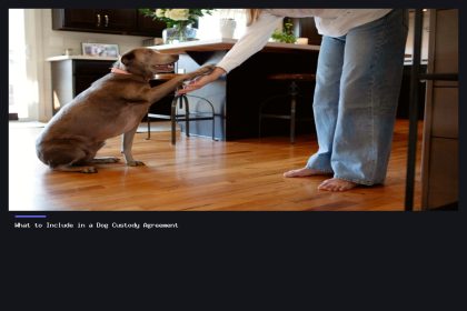 What to Include in a Dog Custody Agreement