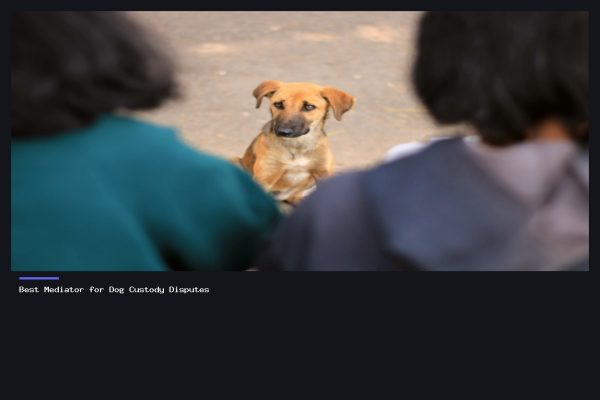 Best Mediator for Dog Custody Disputes