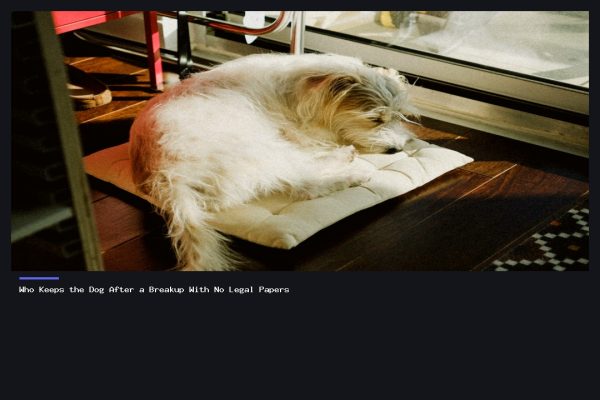Pet Custody After Breakup: Who Keeps the Dog?