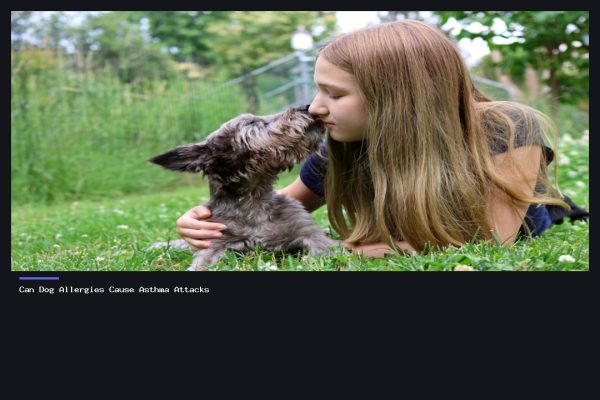Can Dog Allergies Cause Asthma Attacks