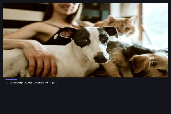 relationship issues because of a pet