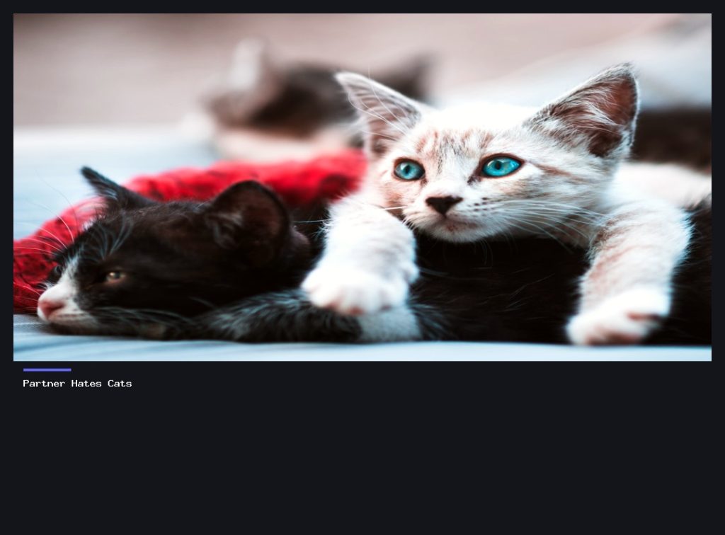 Partner Hates Cats