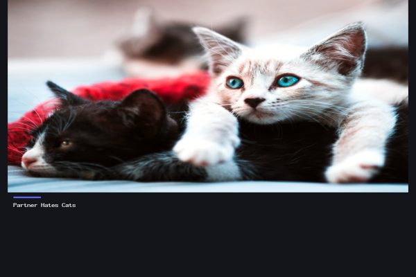 Partner Hates Cats