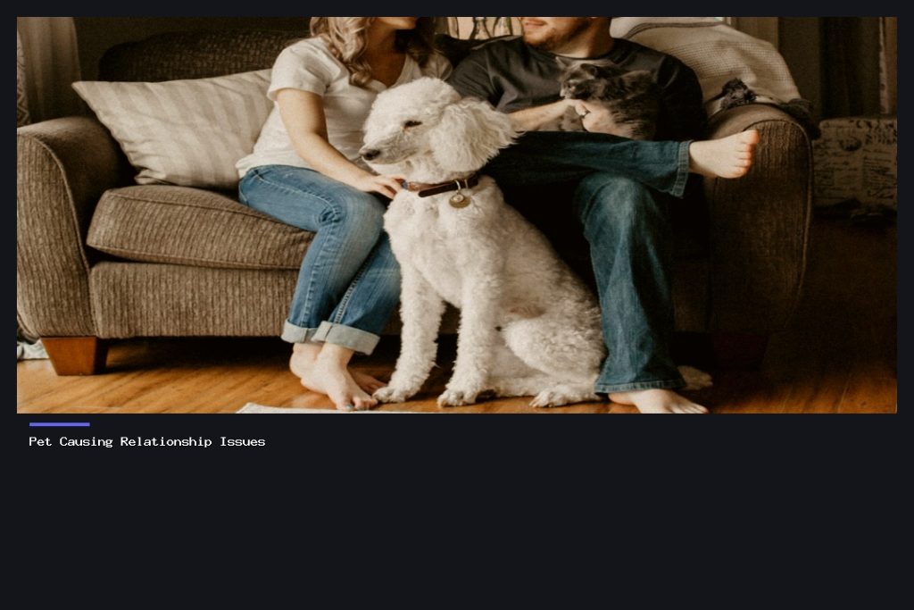 Pet Causing Relationship Issues