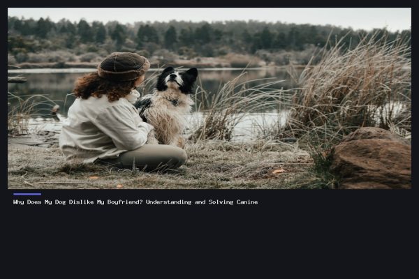 Why Does My Dog Dislike My Boyfriend? Solutions Inside