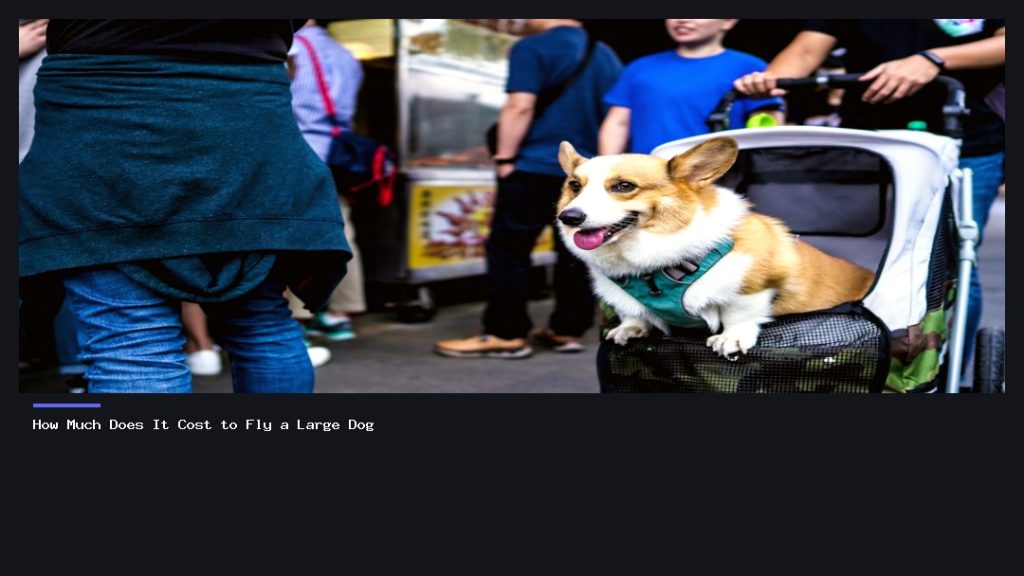 How Much Does It Cost to Fly a Large Dog
