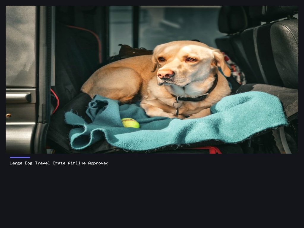 Large Dog Travel Crate Airline Approved