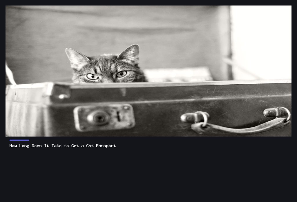 How Long Does It Take to Get a Cat Passport