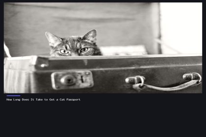 How Long Does It Take to Get a Cat Passport