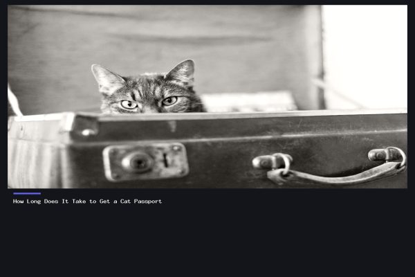 How Long Does It Take to Get a Cat Passport