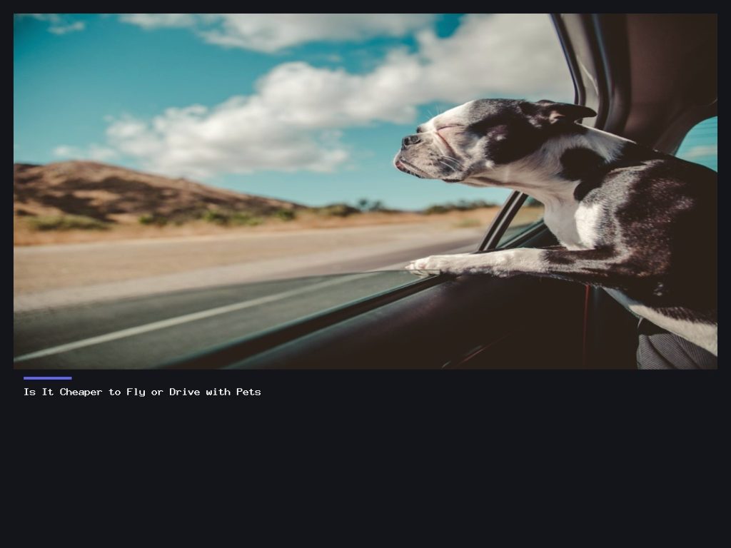 Is It Cheaper to Fly or Drive with Pets